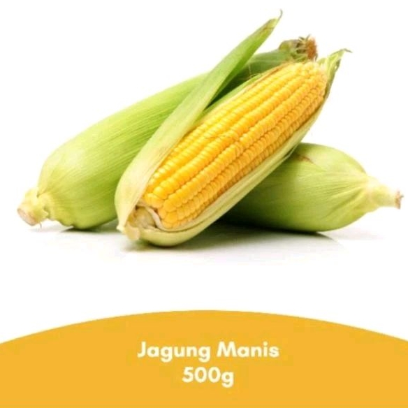 

Jagung Manis