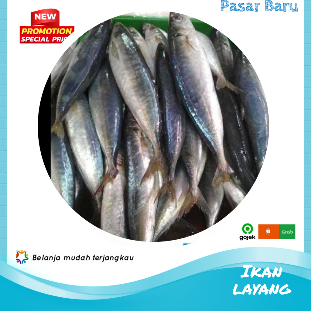 

Ikan Layang • Isi 3 Tergantung Ukuran ✓ Murah | Pasar Baru Makassar