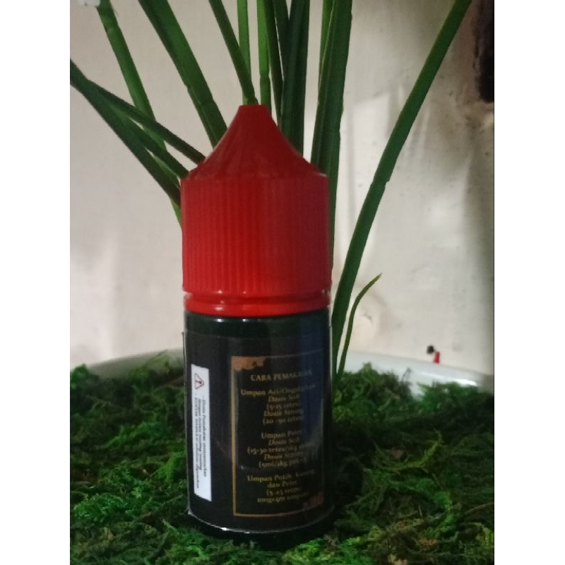 ESSEN IKAN NILA MUJAIR PANDAN SEREH KEMANGI