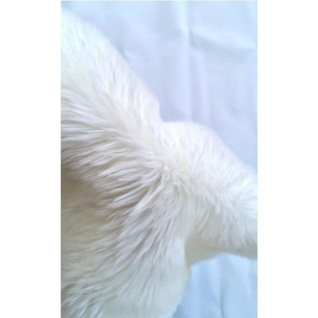 RB Alas Foto Alas Bulu Korea Putih Lembut Alas Bulu 30x40