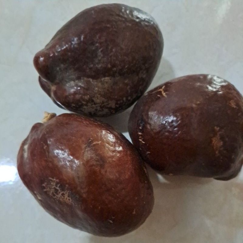 

Buah Zuriat