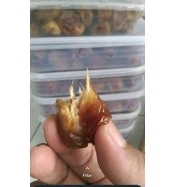 

kurma sukari al qosim box thinwal 500gr