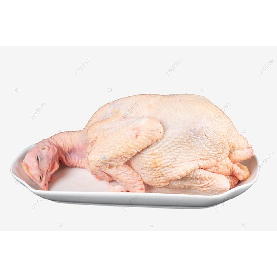 

Ayam karkas broiler fresh size 1kg - 1.1kg ayam potong fresh