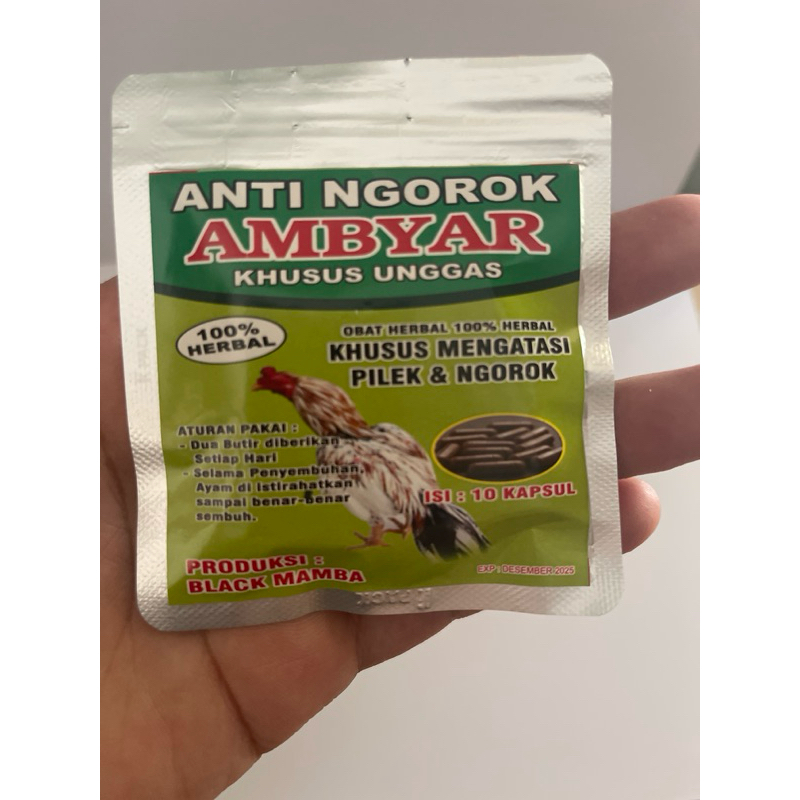 ANTI NGOROK - AMBYAR | obat ayam isi 10 kapsul | obat pilek & ngorok