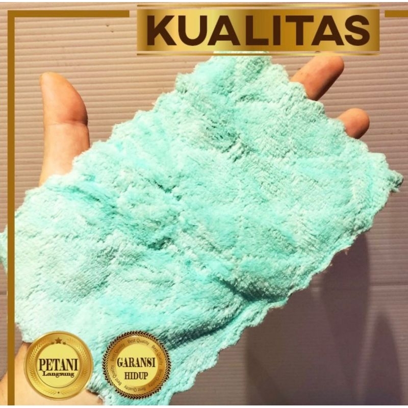 Lap Microfiber Aquarium Ikan Hias Aquascape Rahasia Kaca Bening Bersih