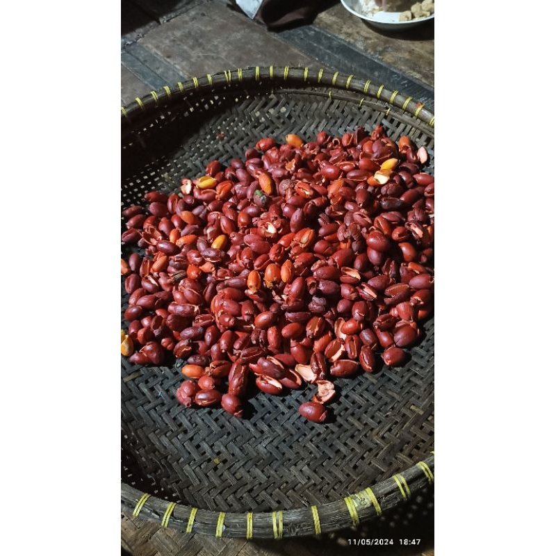 

Kulit Melinjo Tua Warna Merah Per Liter