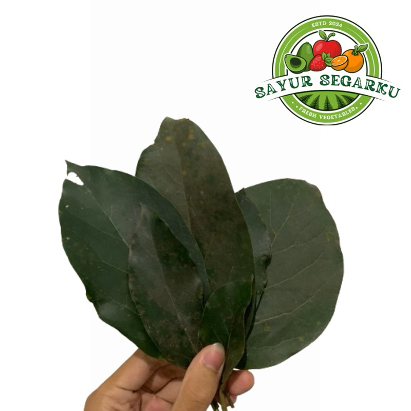 

Daun Alpukat Segar 250 Lembar
