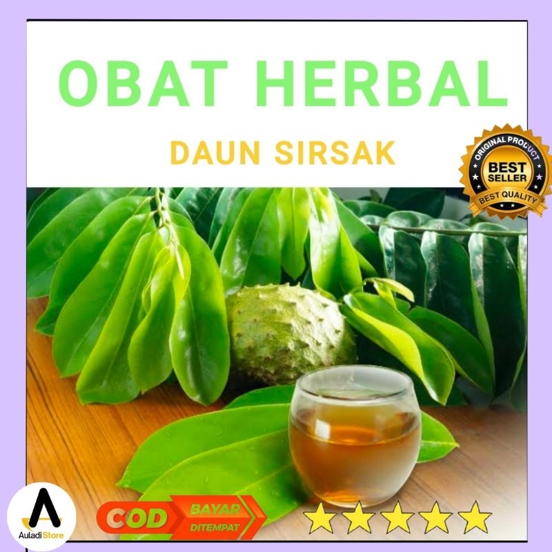 

Obat herbal daun sirsak segar | daun sirsak fresh | daun sirsak organik