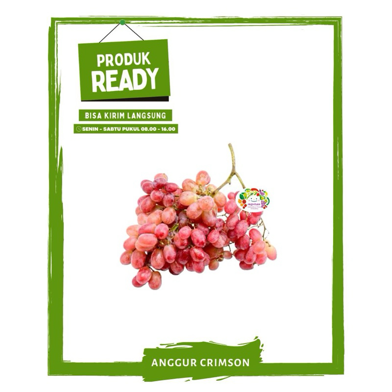 

Anggur Crimson Tanpa Biji / Buah Buahan Segar Ready On Mallahrizwa
