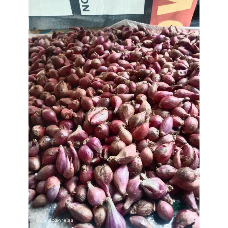 

Bawang merah kecil