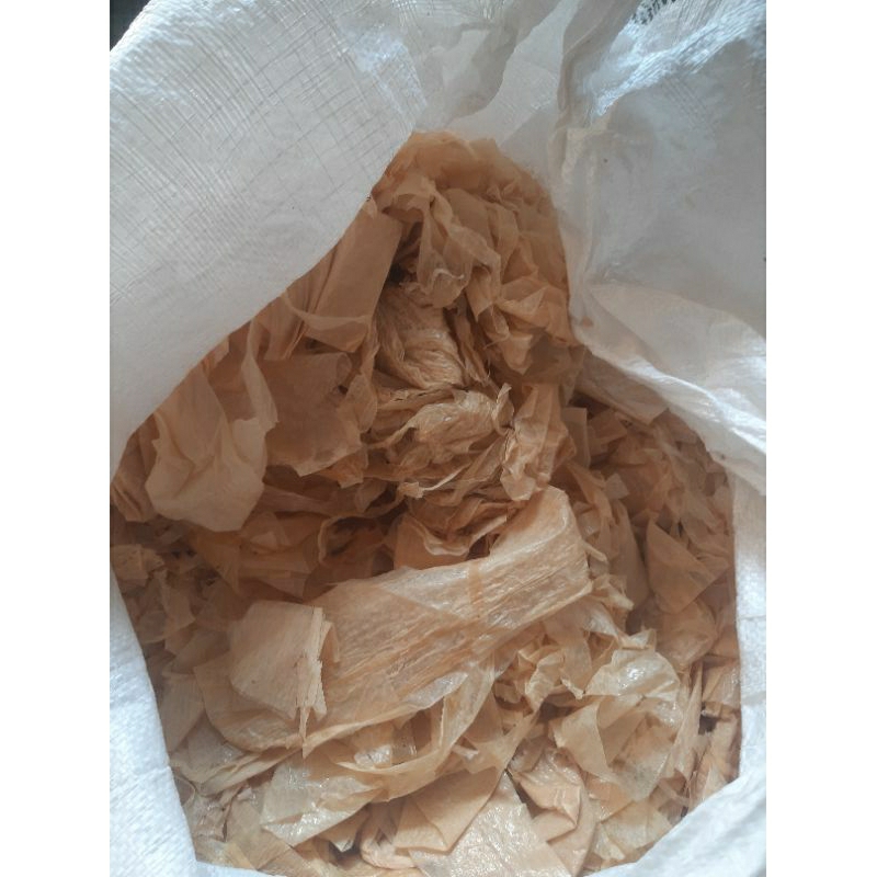 

kulit tahu
