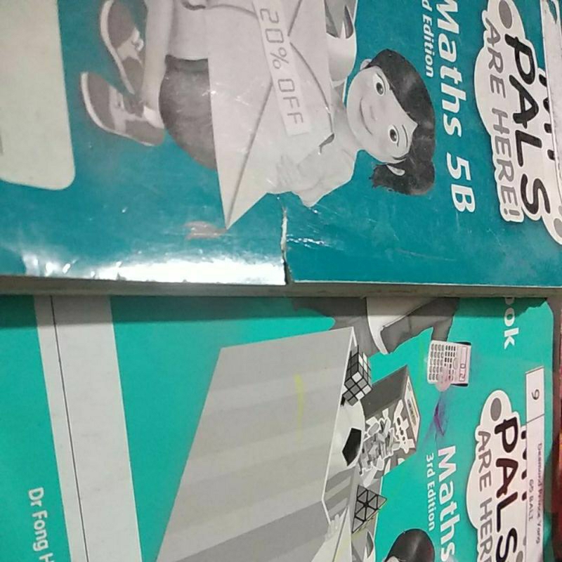my pals are here math 5A dan 5B workbook