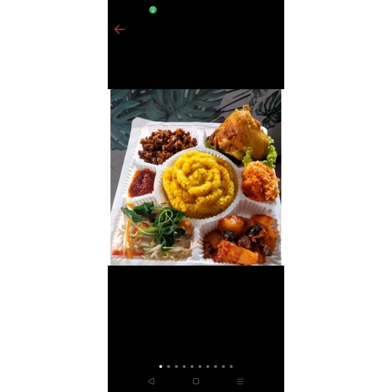 

Nasi Box, Nasi Kuning Box, Ayam goreng, Ayam Bakar
