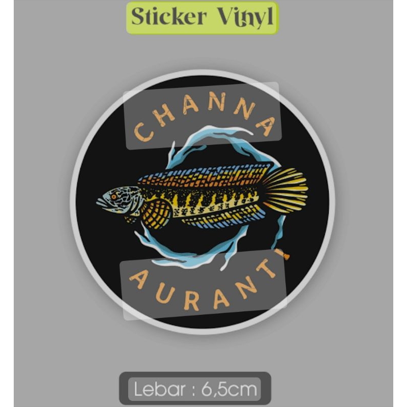 

Sticker Channa Auranti Maculata