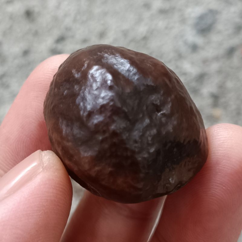 Muncang adu jayanti Tebal ori garut