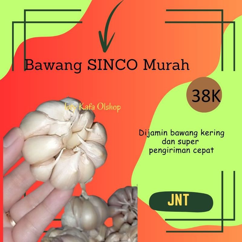 

Bawang Sinco 1 kg,Bawang Murah,Bawang Putih,Bawang Sinco Harga Grosir,Bawang Super