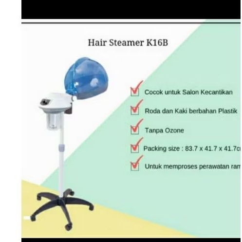 Steamer Rambut salon