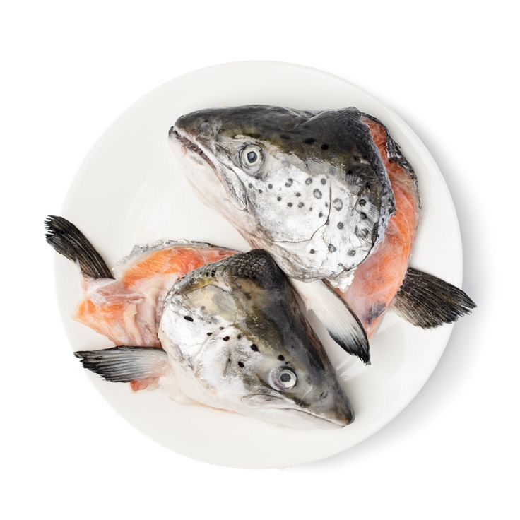

Frozen Salmon Head Norway 300-600gram per kepala