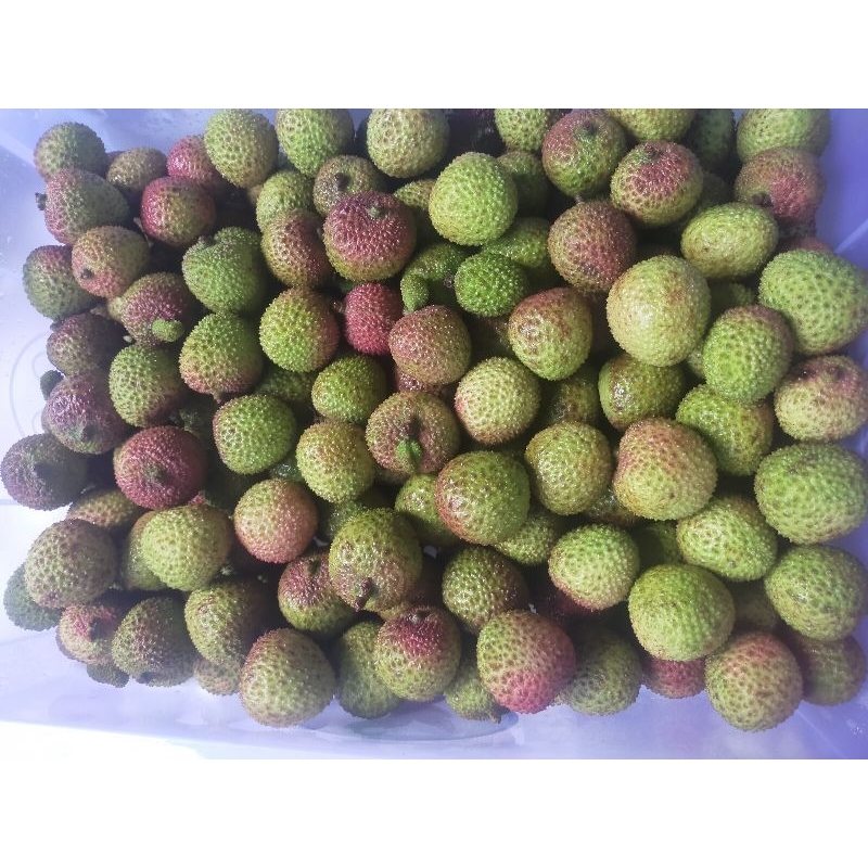 

buah leci lychee /lychee buah leci hijau madu