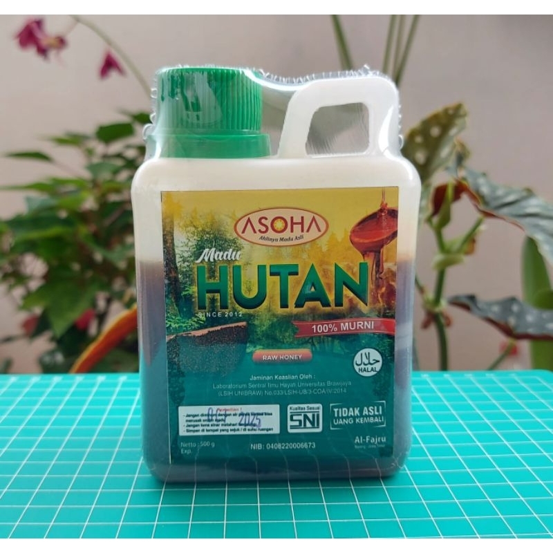 

ASOHA Madu Hutan Liar Jambi 1/2kg | Madu Asli | Madu Murni | Obati Asam Lambung