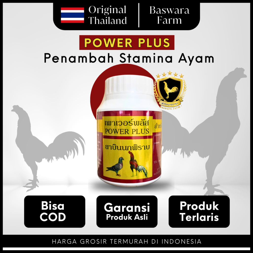 POWER PLUS Ayam Original Thailand Doping & Vitamin Ayam Juara