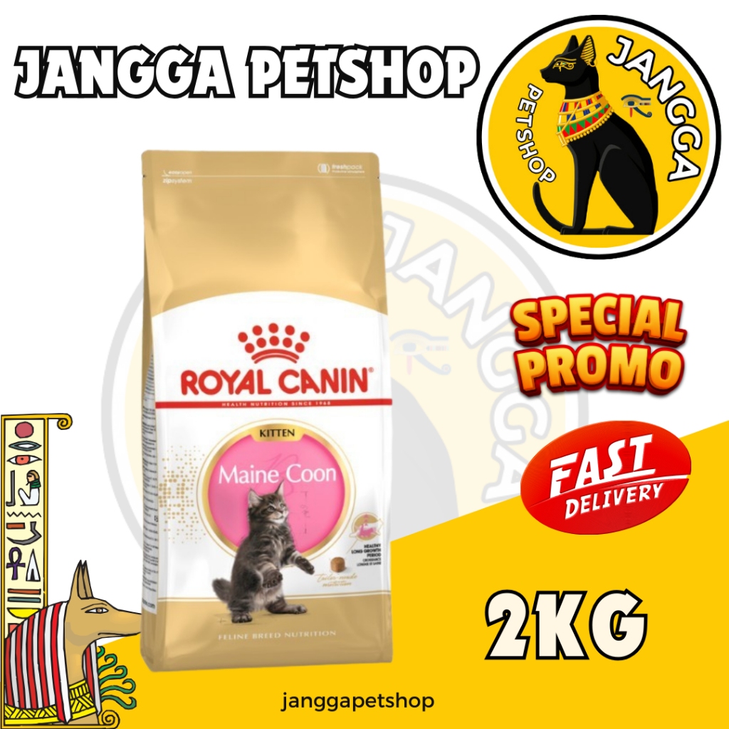 Royal Canin Maine Coon Kitten 2kg
