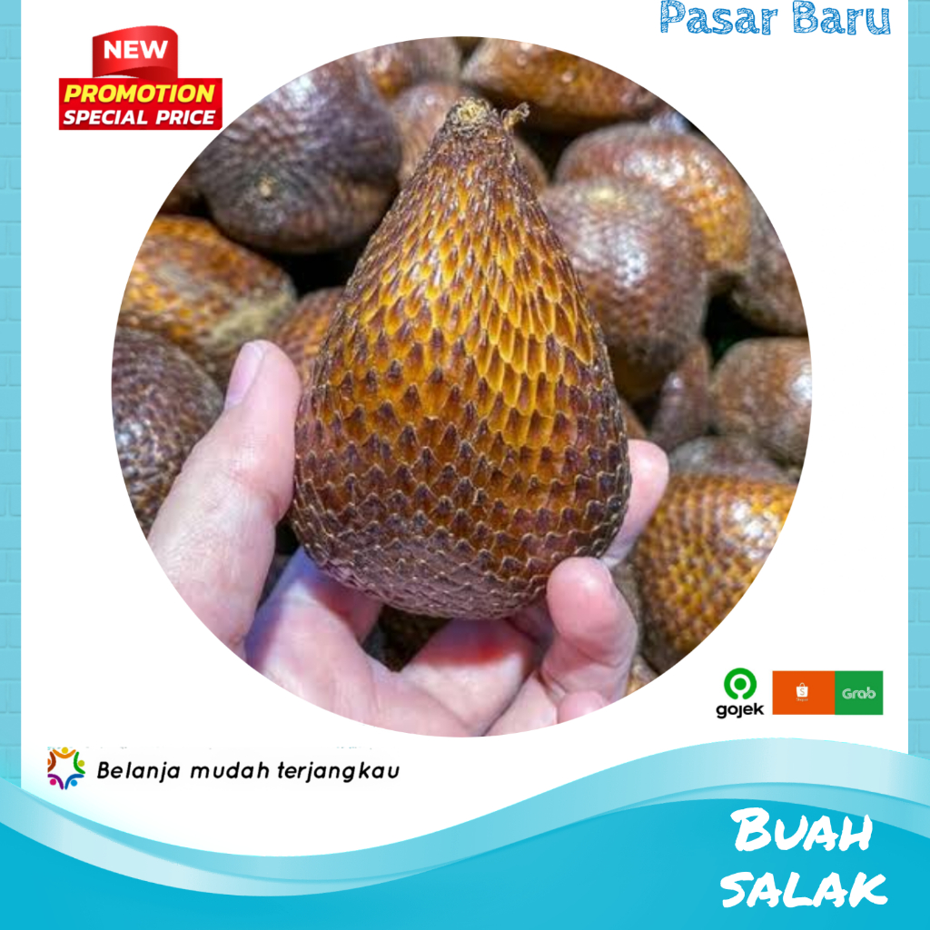 

Buah Salak • Murah | Pasar Baru Makassar