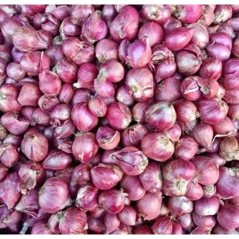 

Bawang Merah 1kg