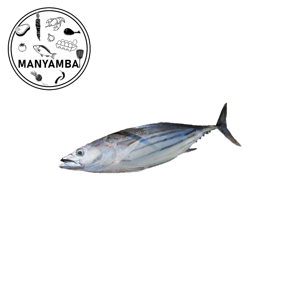 

Ikan Tuna Sisik Potong Segar | 500gr - 1kg