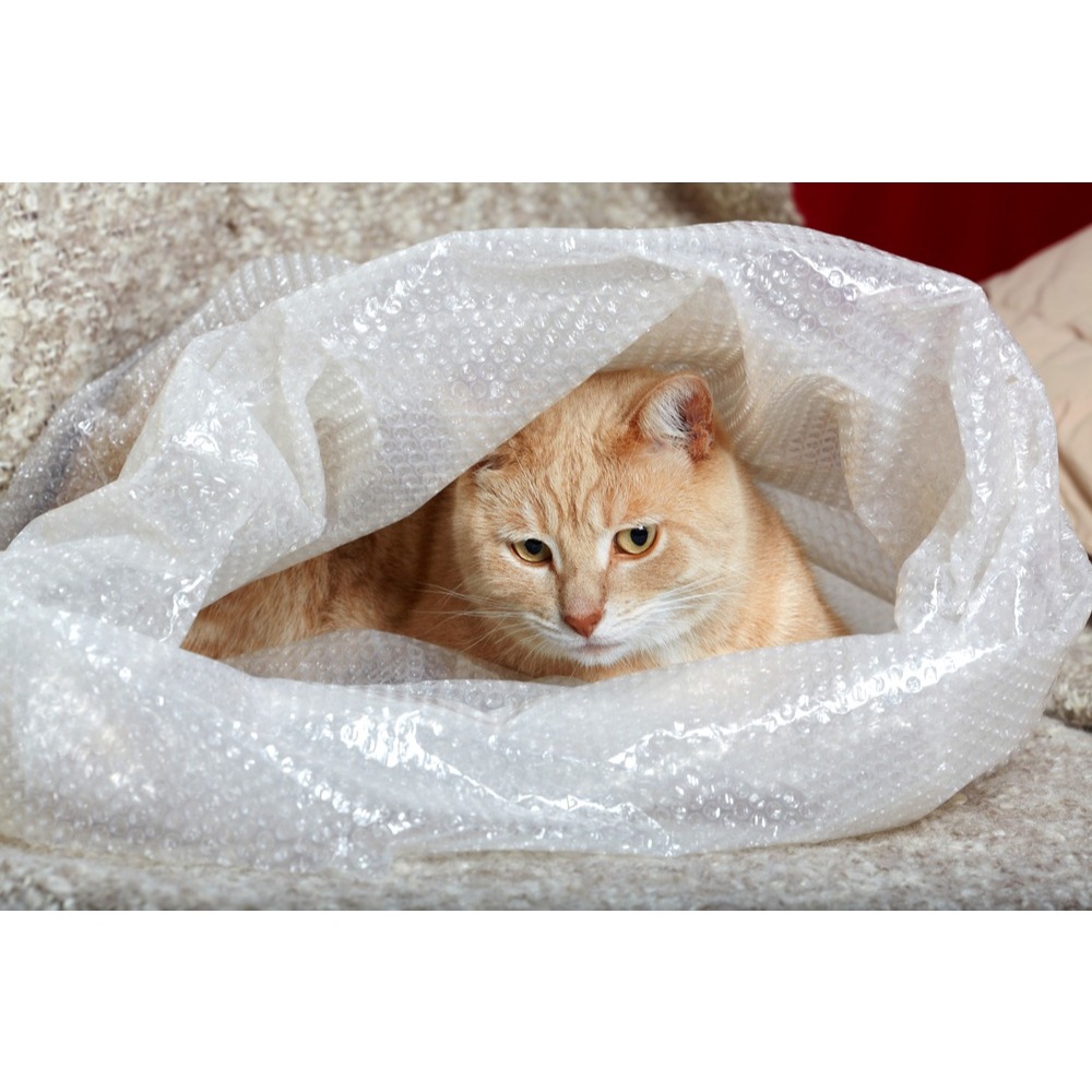 

BUBBLE WRAP EXTRA Pelindung Tambahan Paket