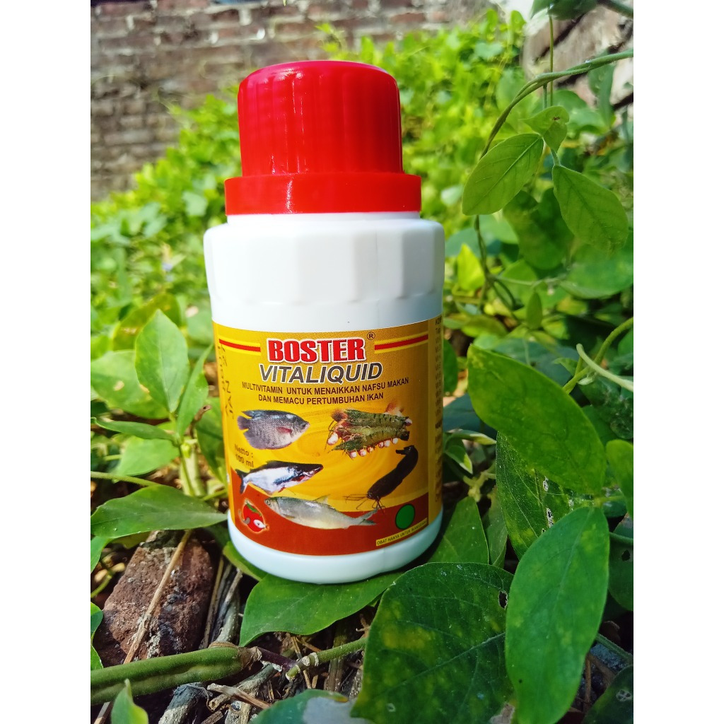 Vita Liquid 100 ml