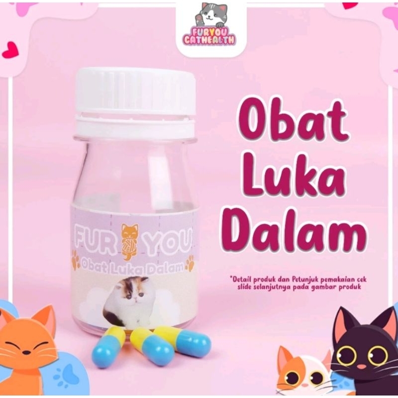 Fur You Obat Luka Dalam Obat Kucing Luka Jatuh Tertabrak Luka Dalam Anabul Luka