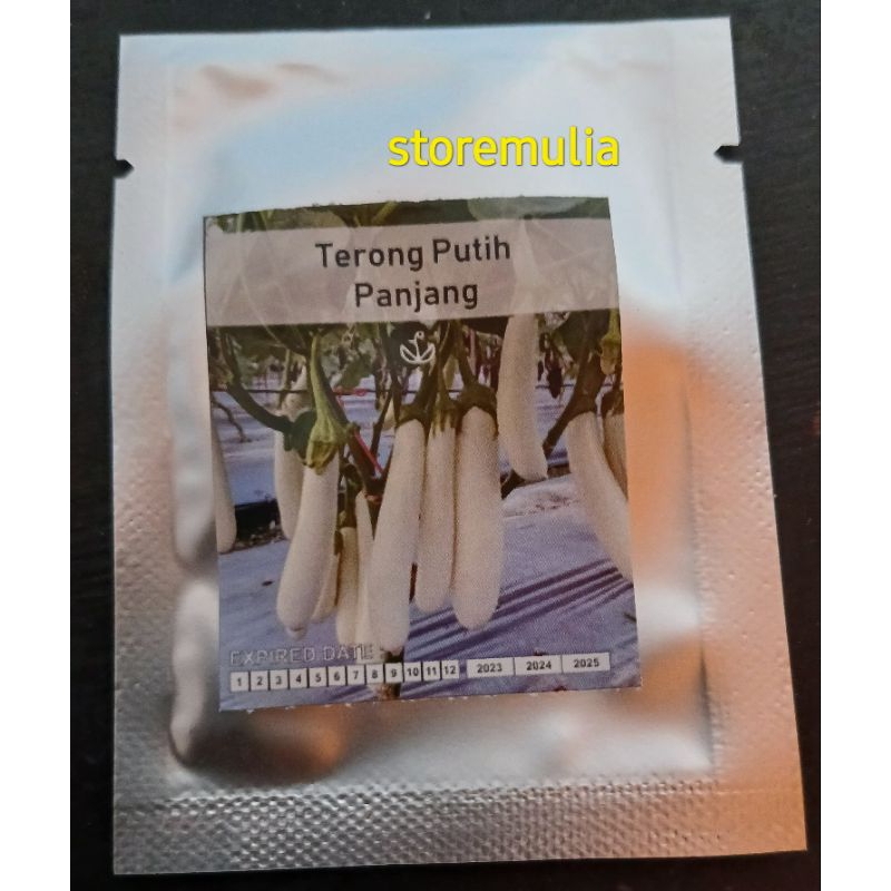 Bibit benih TERONG PUTIH