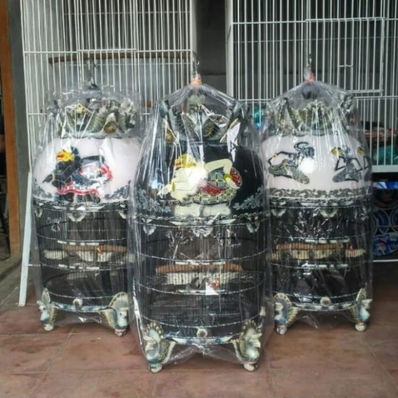 Kandang burung perkutut wayang mahkota super