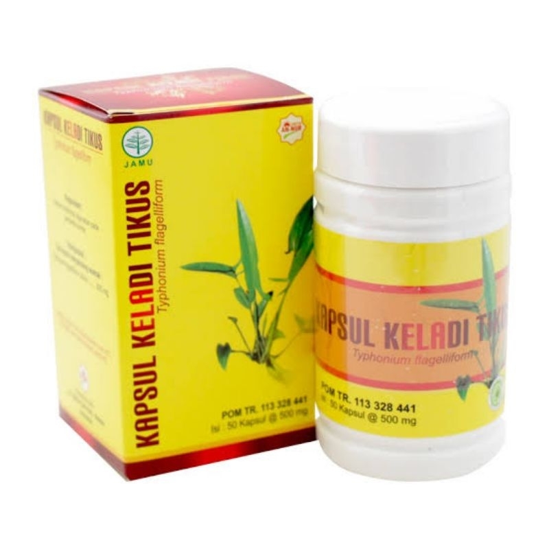 Kapsul Keladi Tikus
