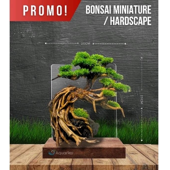 bonsai doyong aquascape hiasan akuarium