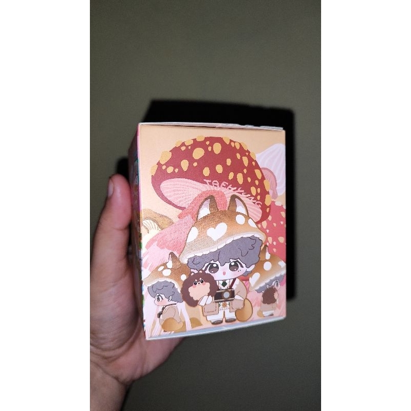 BLIND BOX TAEHYUNG SEALED BOOKED