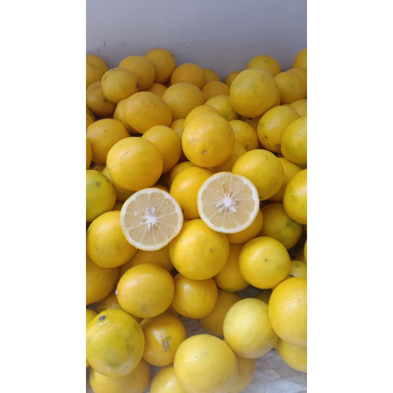 

lemon