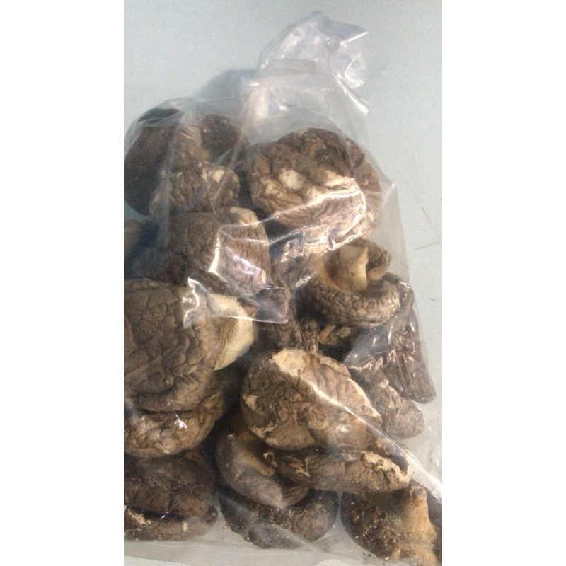 

Jamur hioko kecil 100gr