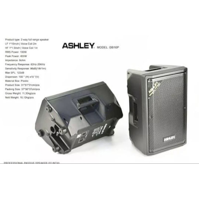 Speaker Pasif Ashley DB10P 10 inch