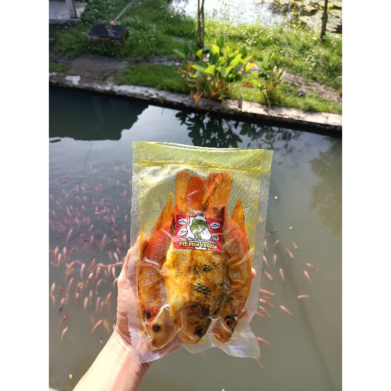 

Ikan nila bumbu kuning 500gr/3ekor,SIAP GORENG,