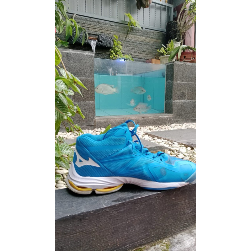 sepatu mizuno ukuran 43