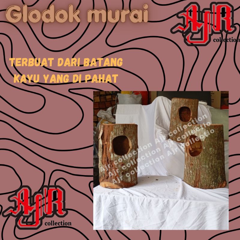 glodok gowok rumah burung murai gowok pohon ternak burung termurah