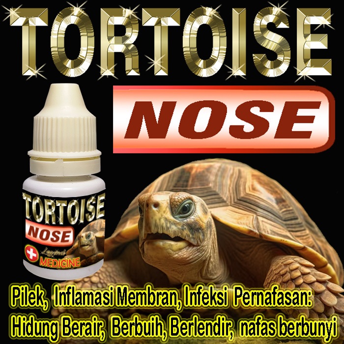 Pawscare Id Tortoise Nose Obat Sulcata Pilek Mengobati Penyakit Pernapasan Reptile Hidung Kura-Kura