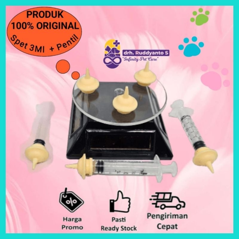 dot bayi kucing baru lahir