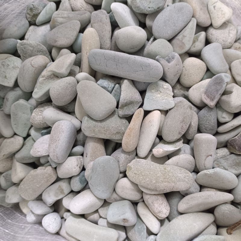 Batu Hijau Taman Flores 1kg  / Batu Coral Hijau Flores / Batu Kupang Hijau / Batu Flores