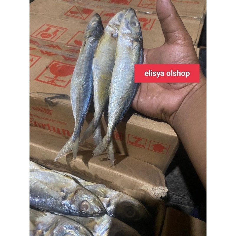 

GROSIR!!!500GR IKAN ASIN KLOTOK BENGOL SUPER FRES BESAR