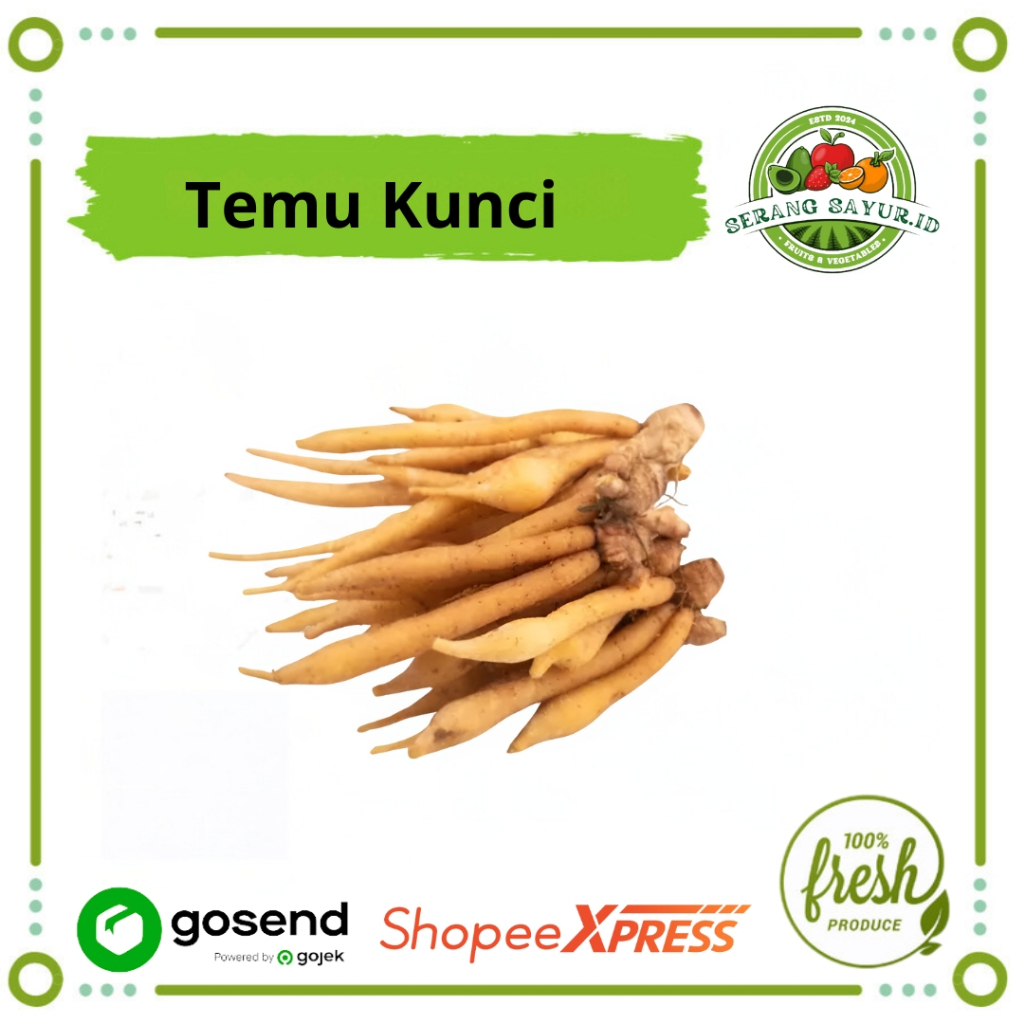 

[INSTAN SERANG] TEMU KUNCI 100 GR