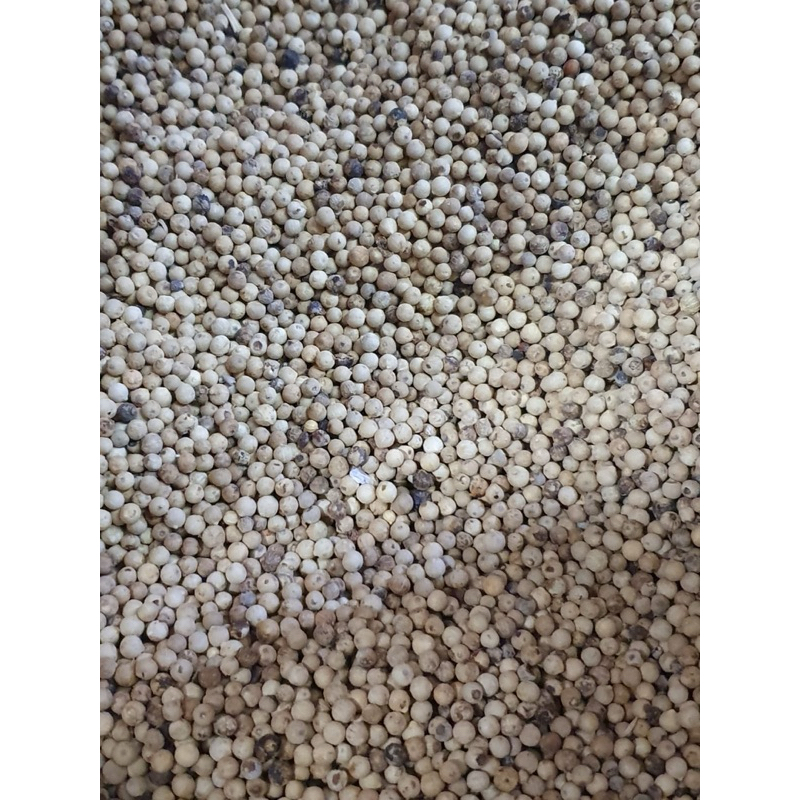 

papi saiyo lada putih utuh lada butir merica utuh 250gr 100gr