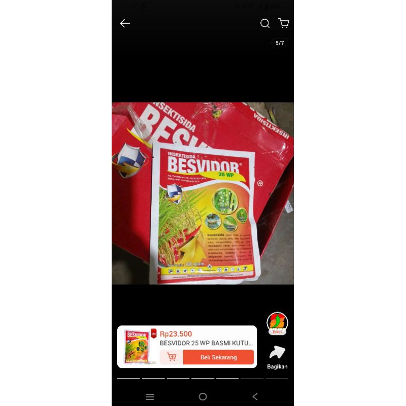 BESVIDOR 25 WP 100 GRAM